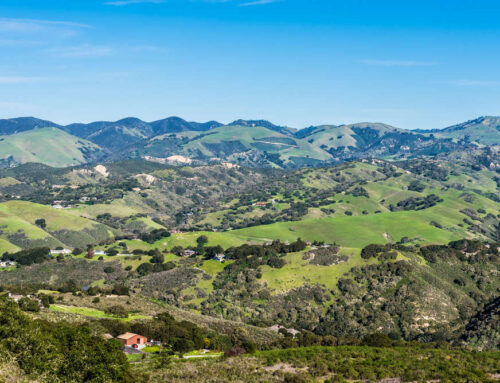 Sciatica Relief in Carmel Valley