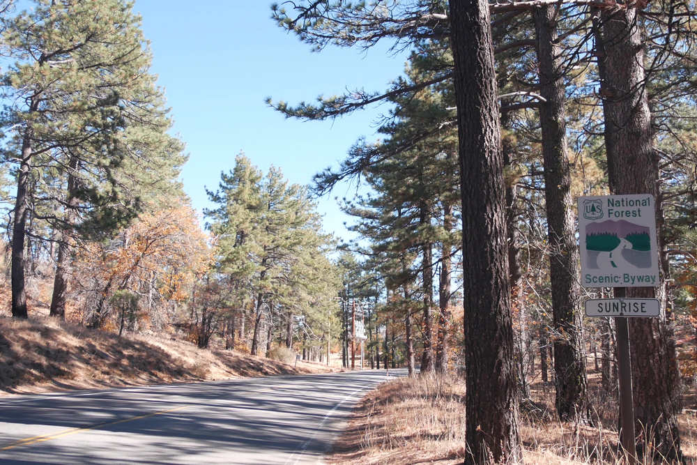 Foot Pain Relief and Custom Orthotics in Mount Laguna, CA